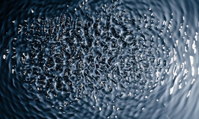 the,texture,of,water,under,the,influence,of,vibration,in