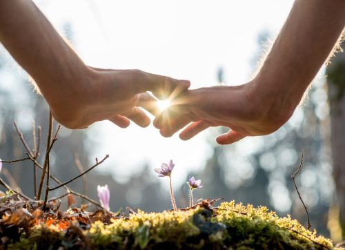 close,up,bare,hand,of,a,man,covering,small,flowers