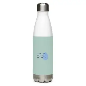 water element stainless steel water bottle