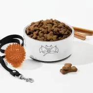 bat nature guide pet bowl