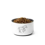 horse nature guide pet bowl