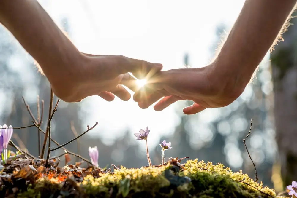 close,up,bare,hand,of,a,man,covering,small,flowers